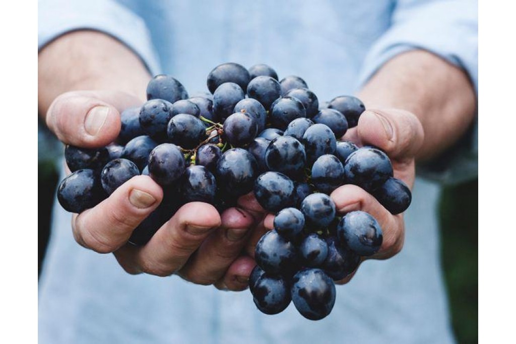 Deneme Blog Yazısı