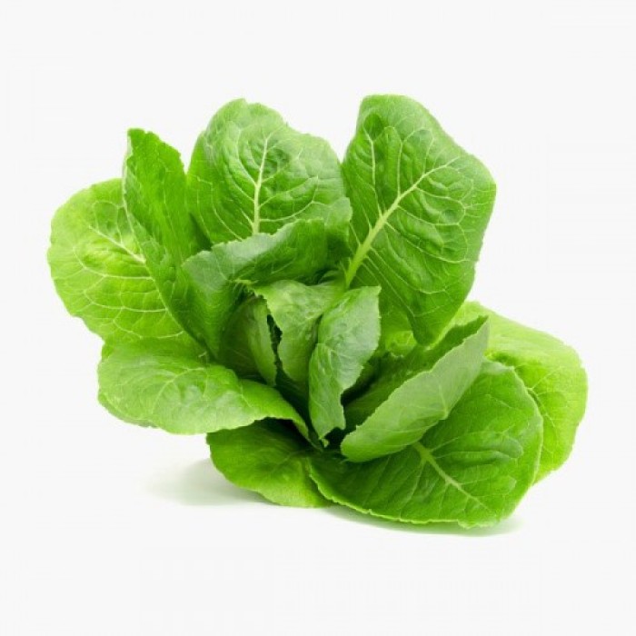 Omuz Bağlama Halka Kemer Tulum Omuz Bağlama Halka Kemer Tulum